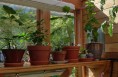 Hanging lamps increase UV light in the space.