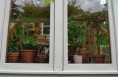 removable windows.